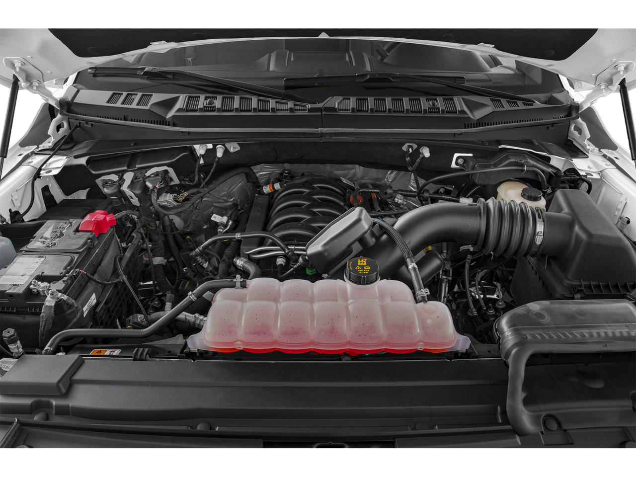 2019 Ford F-150 XLT SPORT