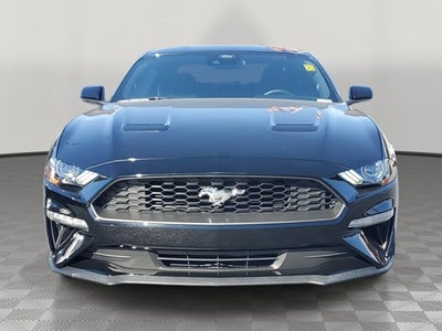 2022 Ford Mustang EcoBoost