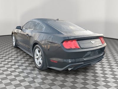 2022 Ford Mustang EcoBoost