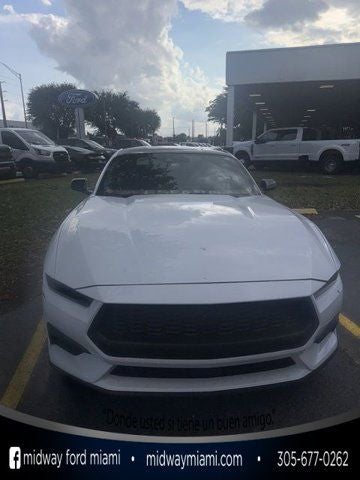 2024 Ford Mustang EcoBoost Nite Pony Pkg