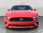 2023 Ford Mustang EcoBoost