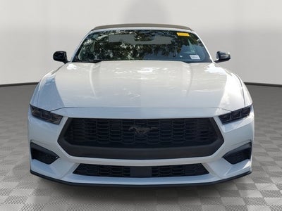 2026 Ford Mustang EcoBoost Pony Pkg