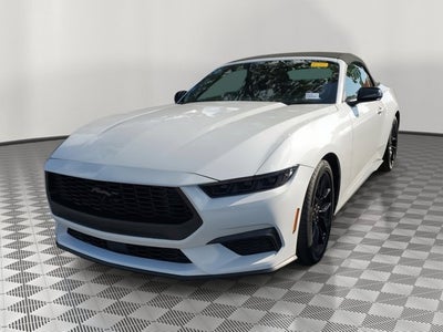 2026 Ford Mustang EcoBoost Pony Pkg