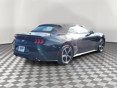 2024 Ford Mustang EcoBoost Premium