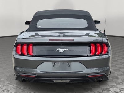 2019 Ford Mustang EcoBoost Premium