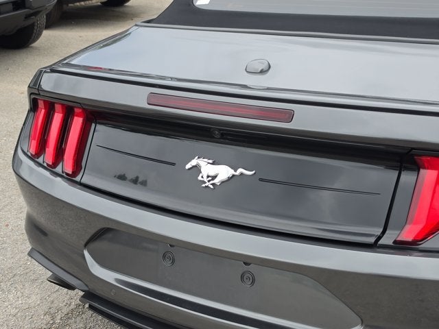 2019 Ford Mustang EcoBoost Premium