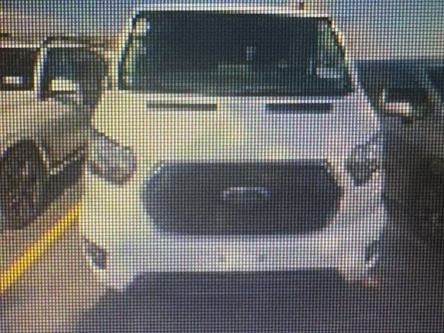 2025 Ford Transit-350 XLT