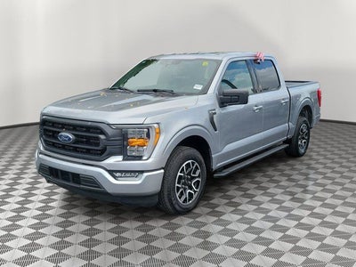 2023 Ford F-150 XLT Sport
