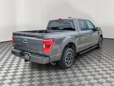 2023 Ford F-150 XLT Sport