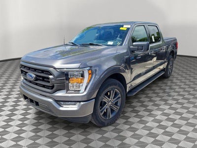 2023 Ford F-150 XLT SPORT