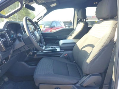 2023 Ford F-150 XL STX