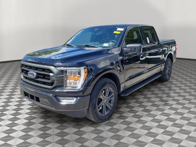 2023 Ford F-150 XLT SPORT