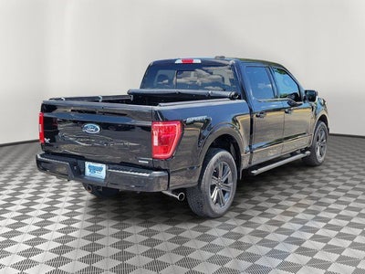 2023 Ford F-150 XLT SPORT