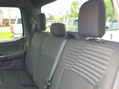 2023 Ford F-150 XL STX