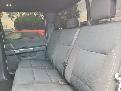 2023 Ford F-150 XLT Sport