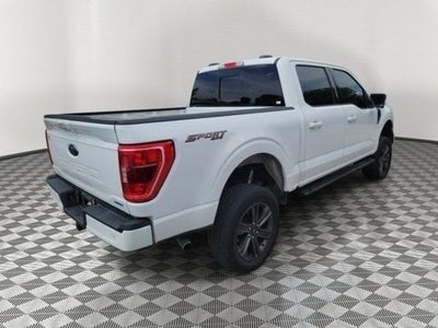 2023 Ford F-150 XLT Sport