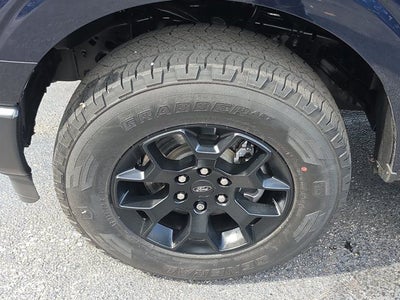 2023 Ford F-150 XL Rattler Pkg
