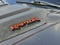 2024 Ford F-150 Raptor R