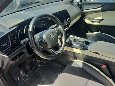 2024 Lexus NX 250 Base