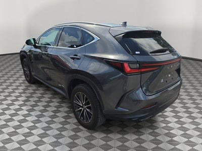 2024 Lexus NX 250 Base