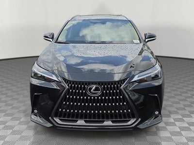 2025 Lexus NX 250 Premium