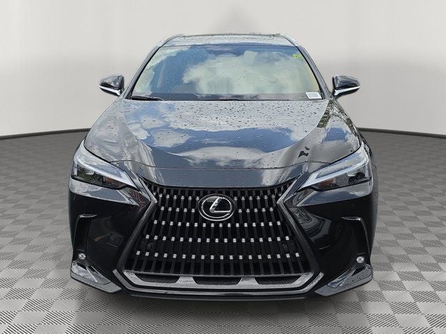 2025 Lexus NX 250 Premium