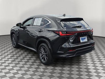 2025 Lexus NX 250 Premium
