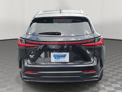 2025 Lexus NX 250 Premium