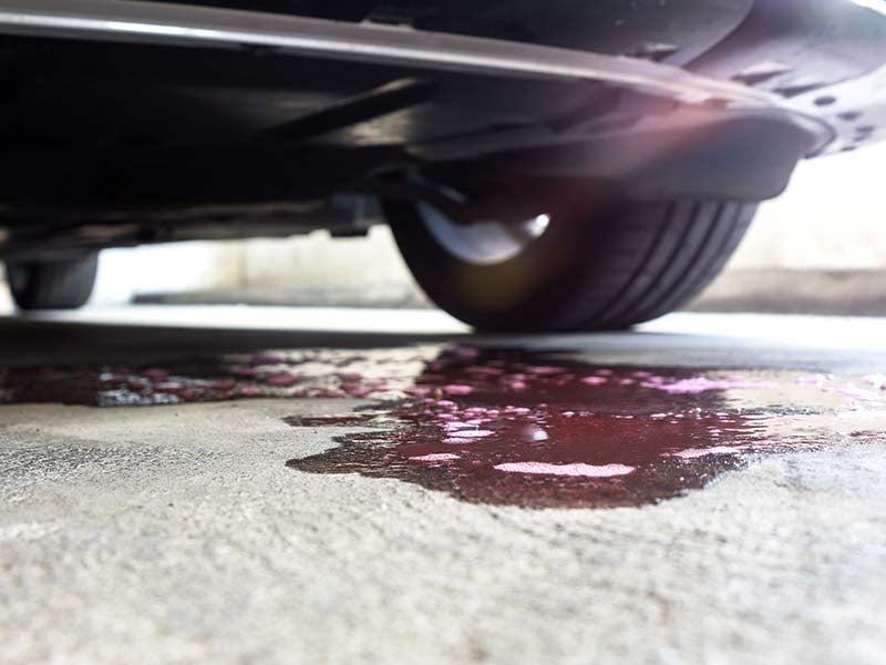 Ford Oil Leak in Miami